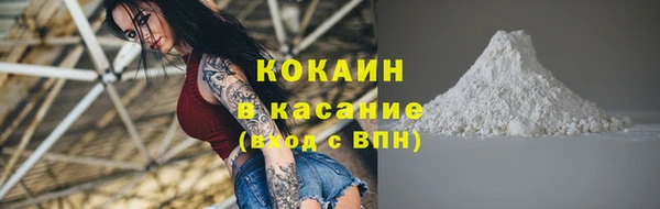 ECSTASY Алзамай