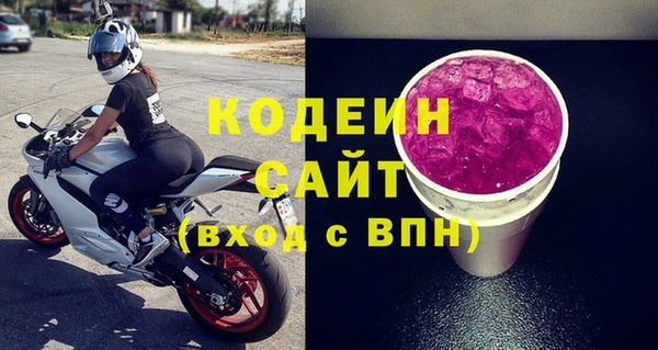 ECSTASY Алзамай