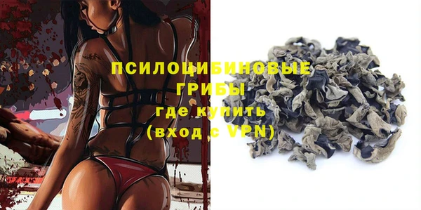 ECSTASY Алзамай