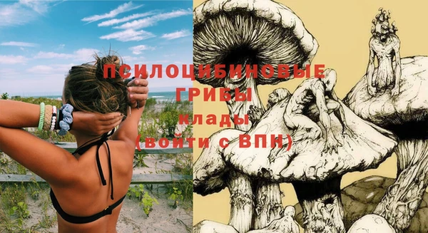 твердый Алексин