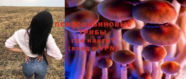 твердый Алексин