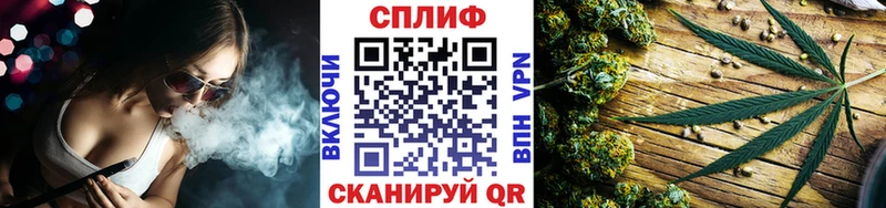 Канабис гибрид  Муравленко 